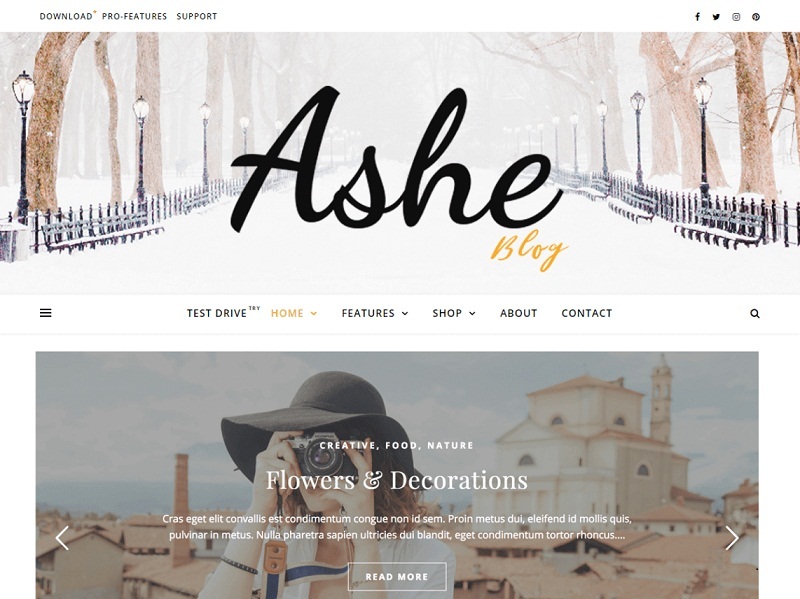 Ashe Free WordPress Blog Themes