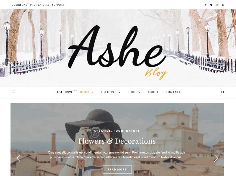 Free Popular WordPress Themes