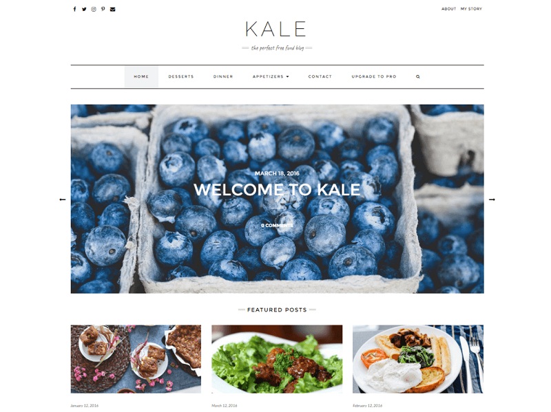 Kale: best free wordpress themes for blogs