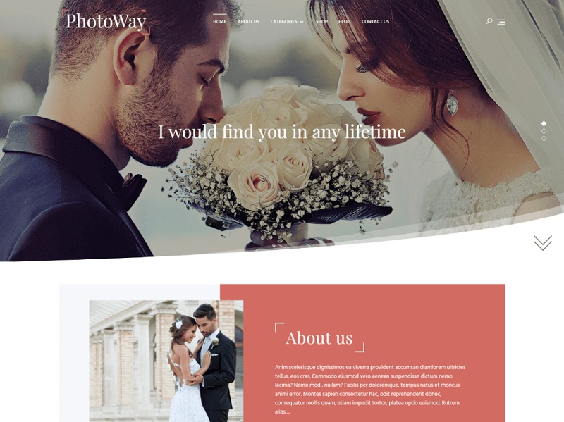 Free Multipurpose WordPress Themes