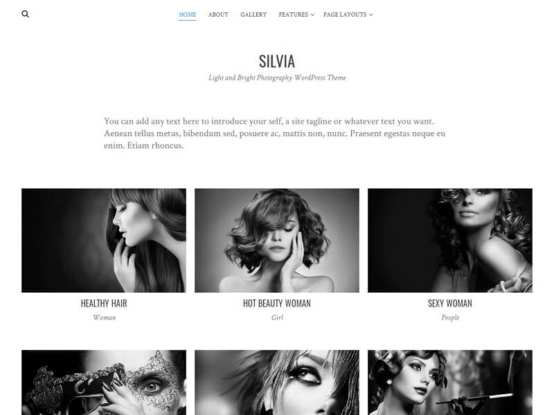 Silvia Free Photography WordPress Themes