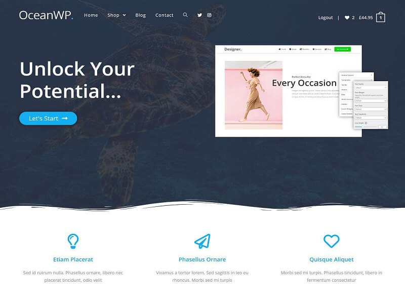OceanWP portfolio design