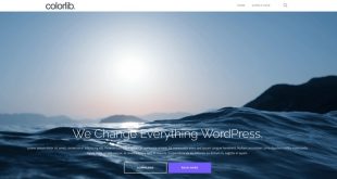 Free Responsive WordPress Themes