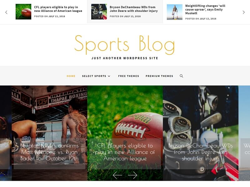 Sports Blog 