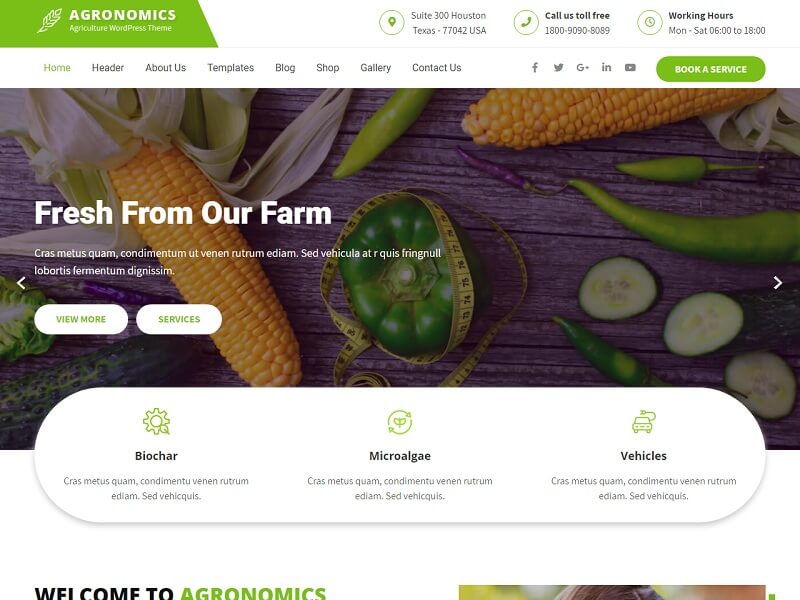 Agronomics Lite Free Environmental WordPress Themes