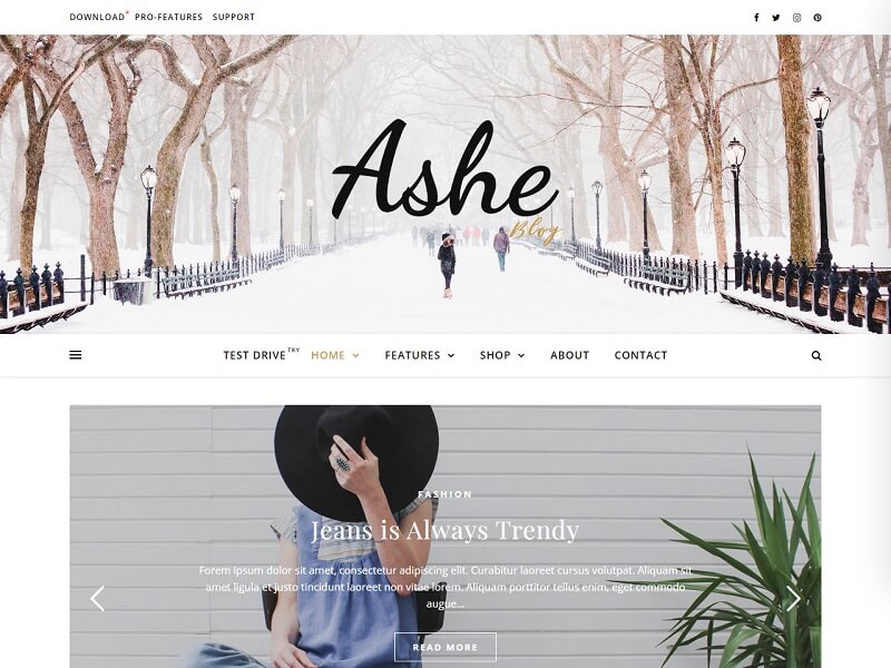 Ashe Free Fashion WordPress Themes