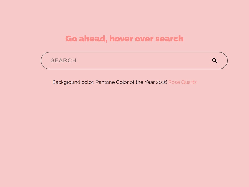 CSS Effect For Search Input