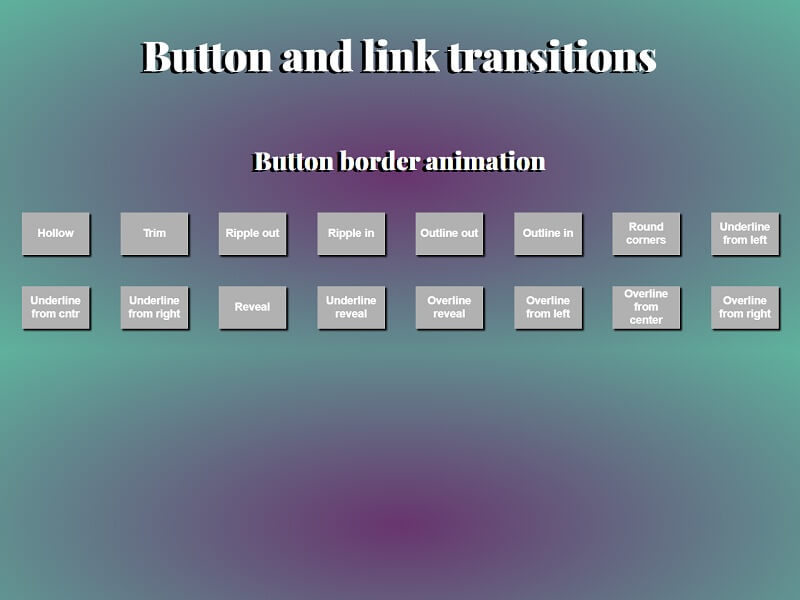 Button Animations
