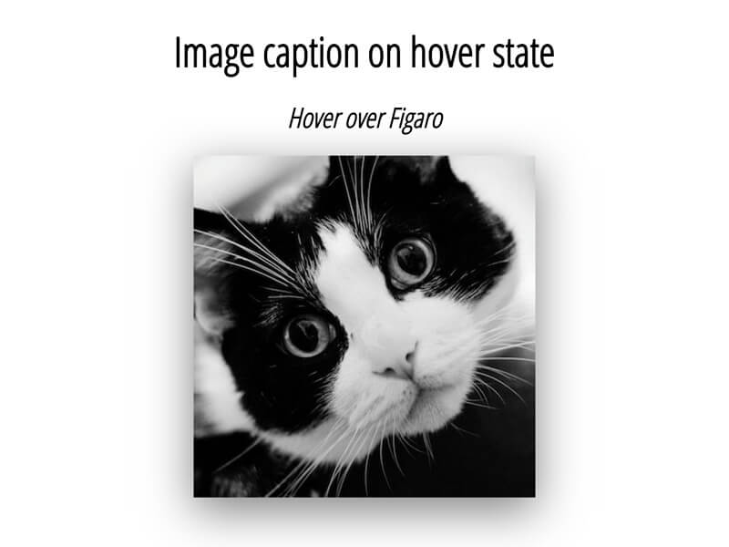 Image Caption on Hover State