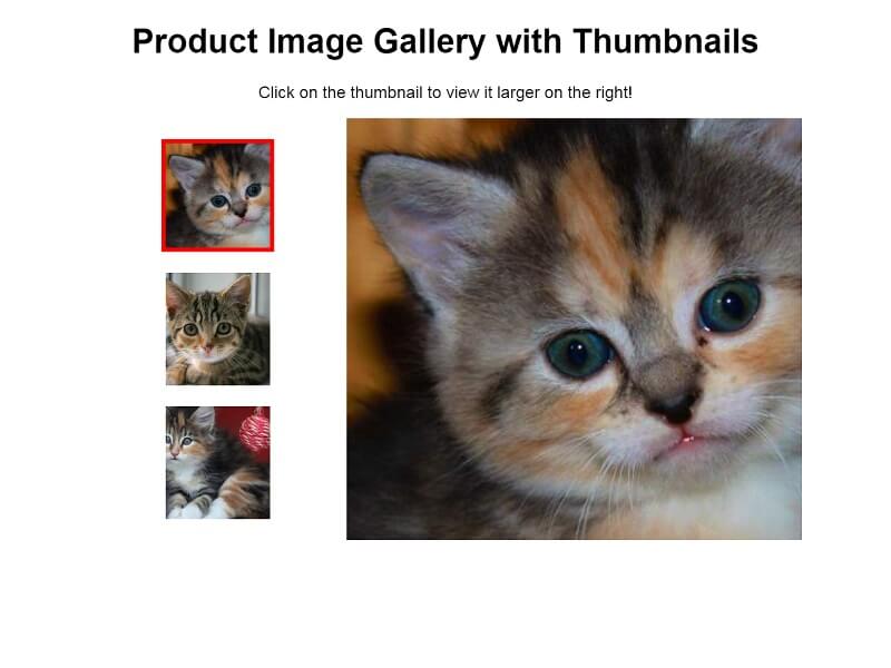 Product Image Gallery with Thumbnails
