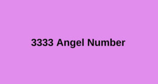 3333 Angel Number