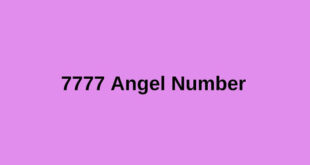 7777 Angel Number